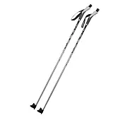 Палки лыжные алюминиевые STC X-TOUR от магазина Супер Спорт